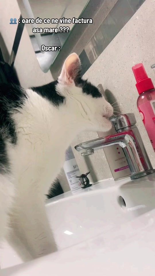 TikTok video thumbnail by ionelabor7