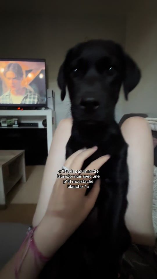 TikTok video thumbnail by thea_cl