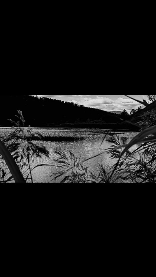 TikTok video thumbnail by stefan_steiner