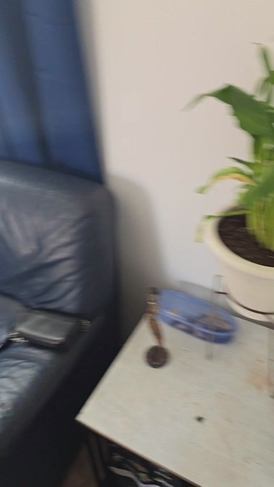 TikTok video thumbnail by gianlucaardenghi