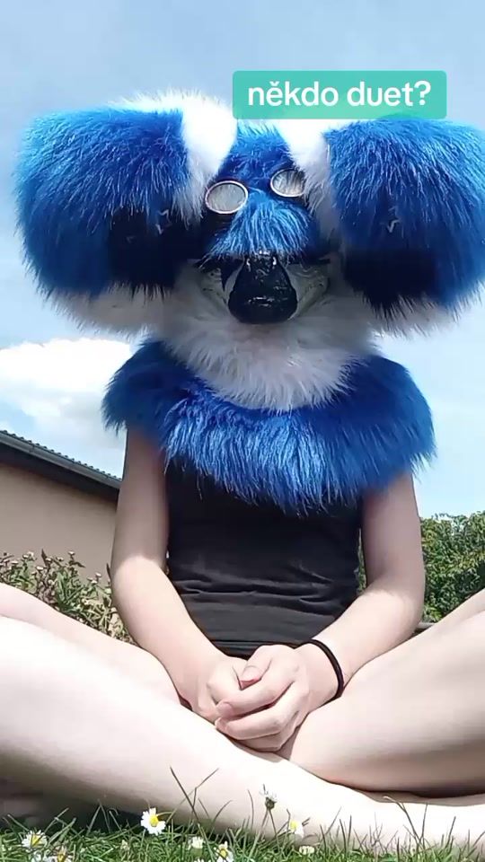 TikTok video thumbnail by scarlet_.fluffy