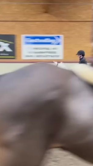 TikTok video thumbnail by _castlequarter_