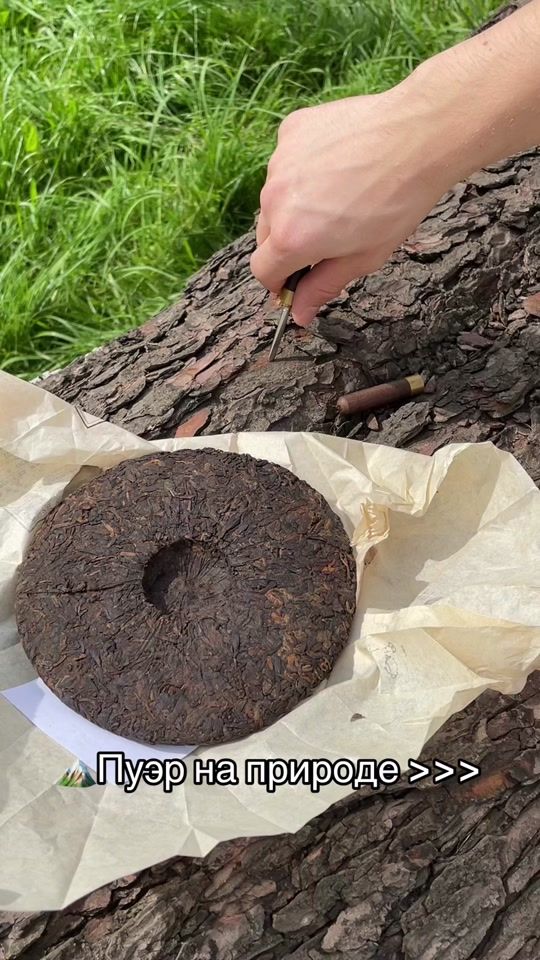 TikTok video thumbnail by chajnyj.pjanica