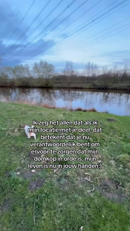 TikTok video thumbnail by qts.jp