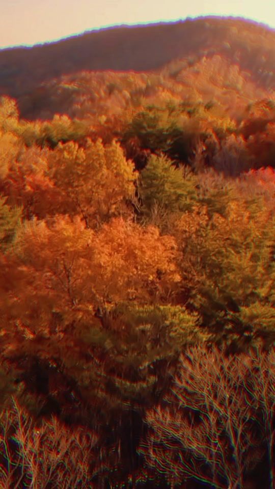 TikTok video thumbnail by storiabibbia