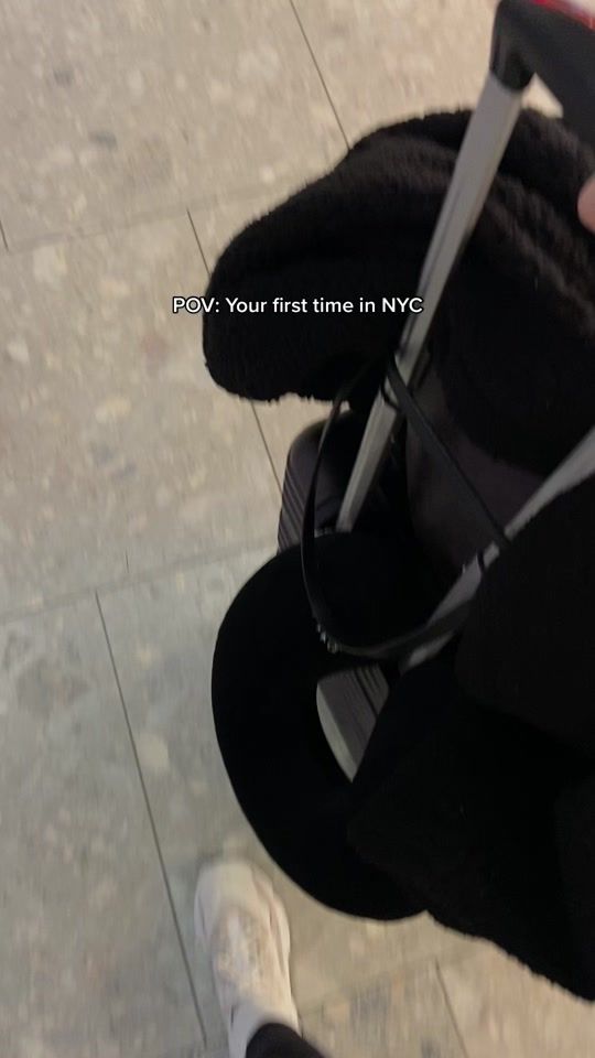 TikTok video thumbnail by leonoragomes_