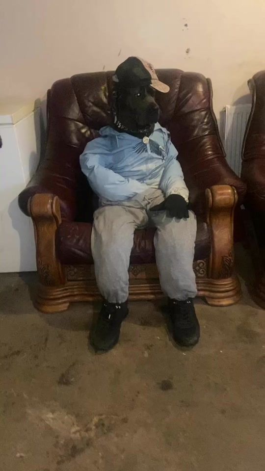 TikTok video thumbnail by mist_the_canecorso