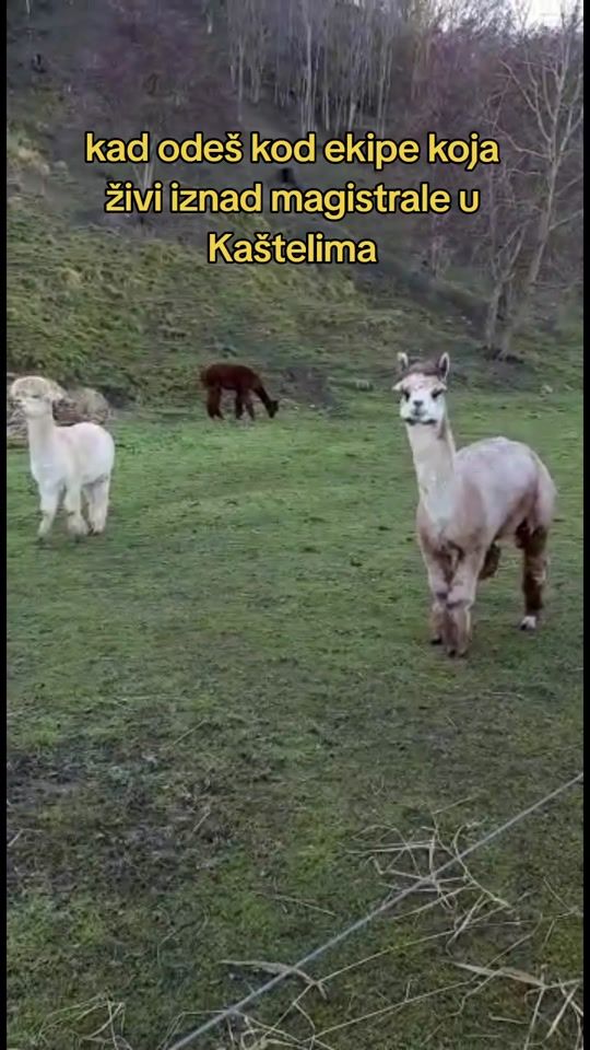 TikTok video thumbnail by kapetan.mp7