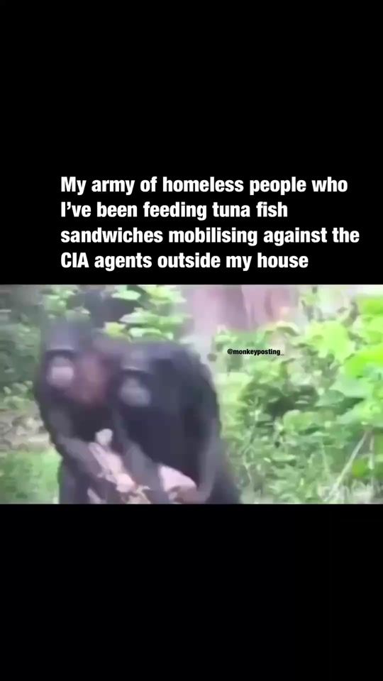 TikTok video thumbnail by monkeyposting_