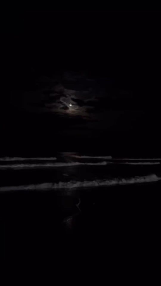 TikTok video thumbnail by shahd.w.s0