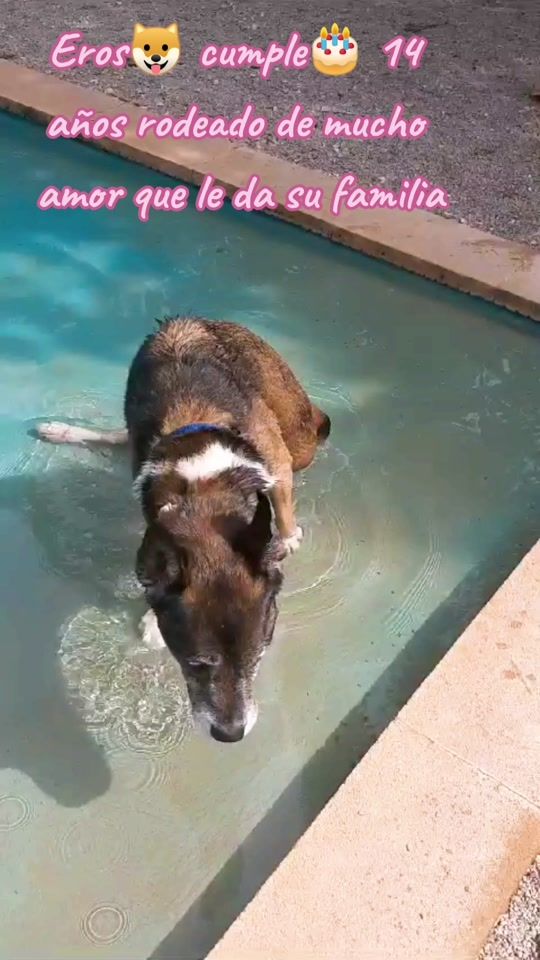 TikTok video thumbnail by joseantonio_shakira