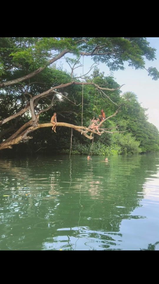 TikTok video thumbnail by x0x0g0pissgirl