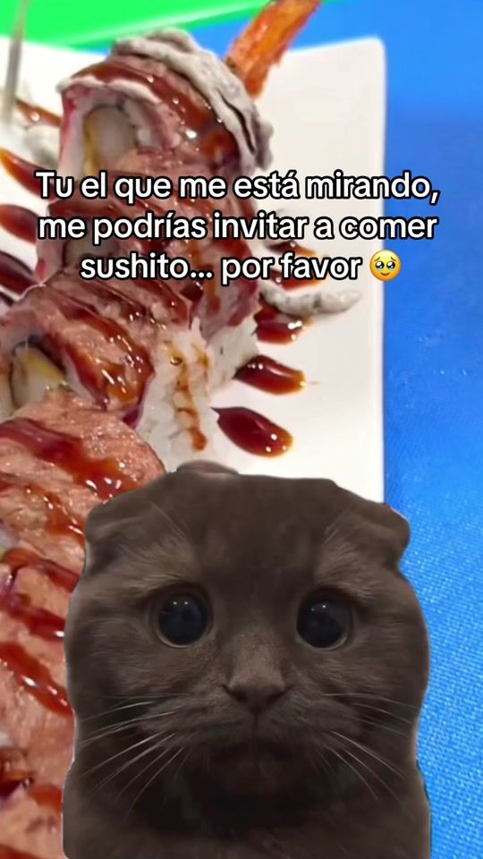 TikTok video thumbnail by rensushibar