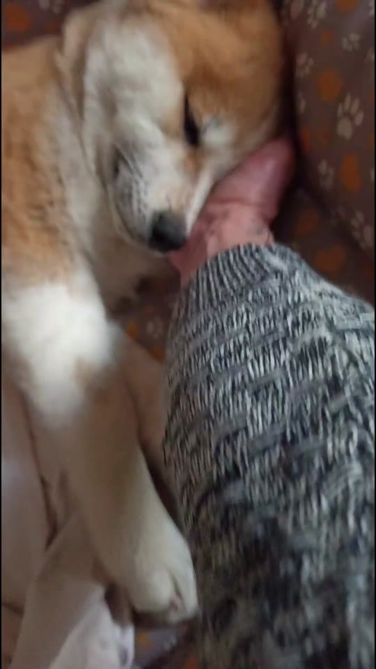 TikTok video thumbnail by akirakoki21