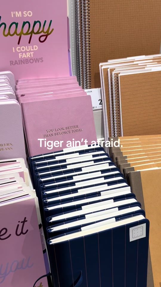 TikTok video thumbnail by joelolssonnordin