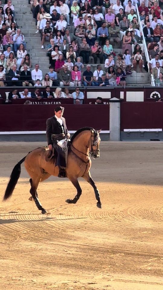 TikTok video thumbnail by angelopez_1999