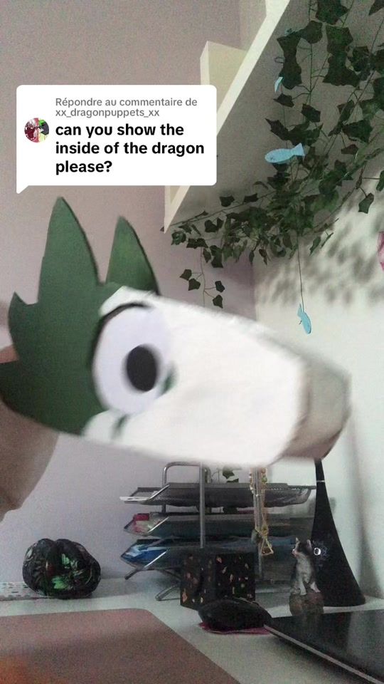 TikTok video thumbnail by dragon_paperlove