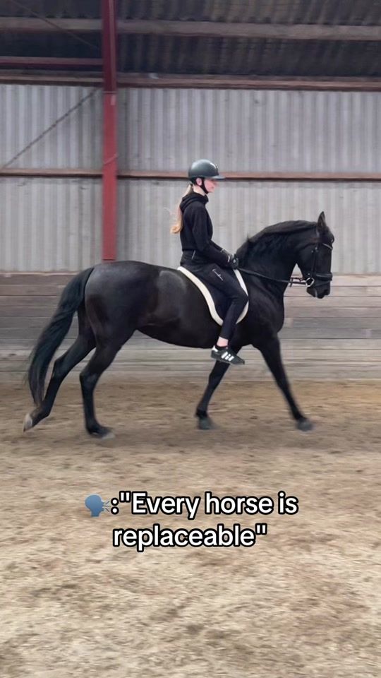 TikTok video thumbnail by s.q_equipe