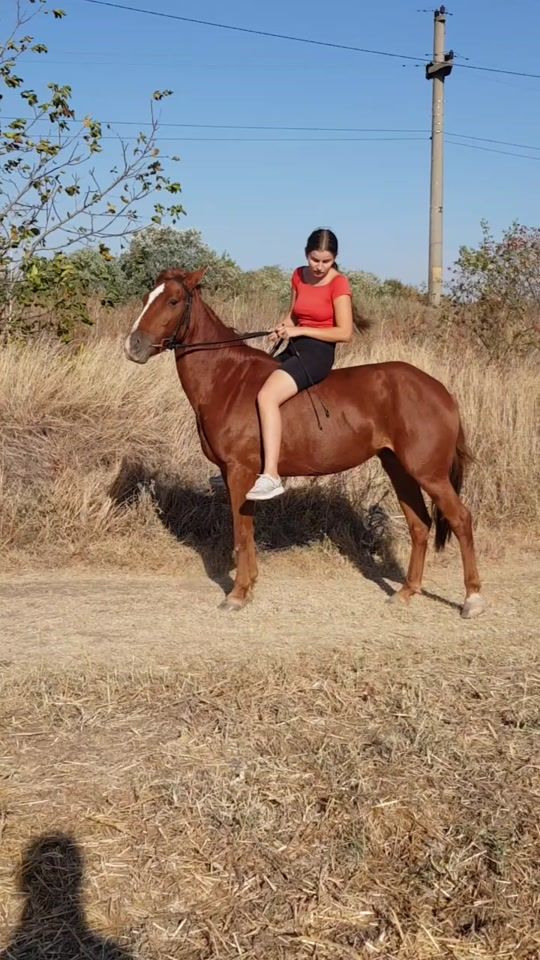 TikTok video thumbnail by daniela_3546