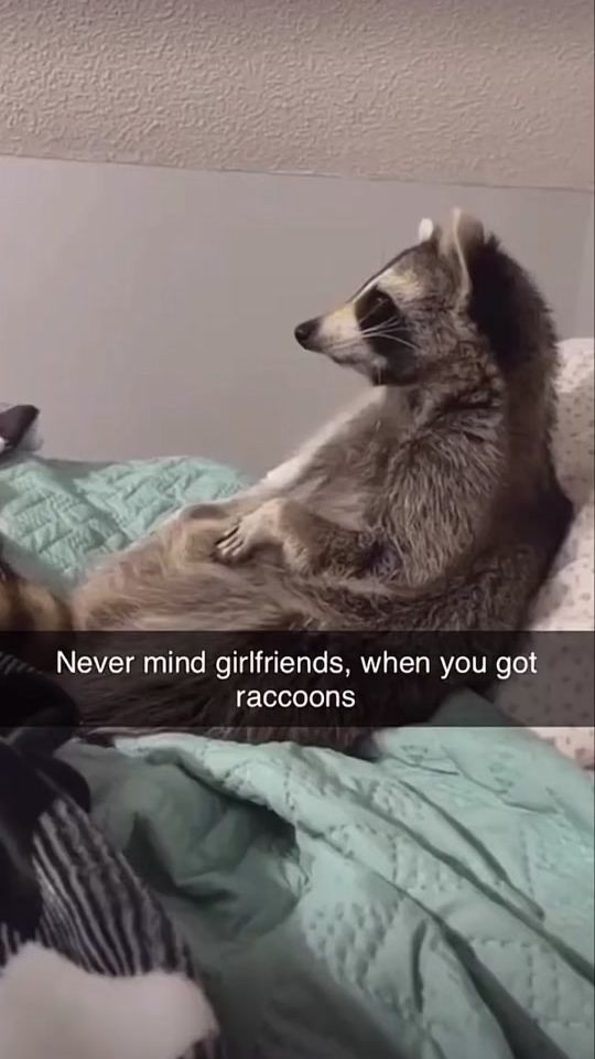 TikTok video thumbnail by noexcuses000