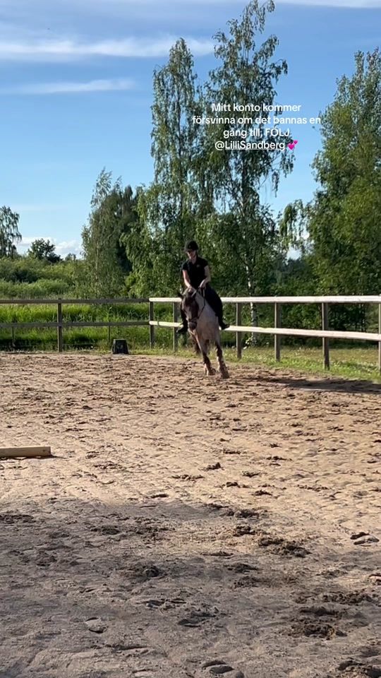 TikTok video thumbnail by equi.lillii