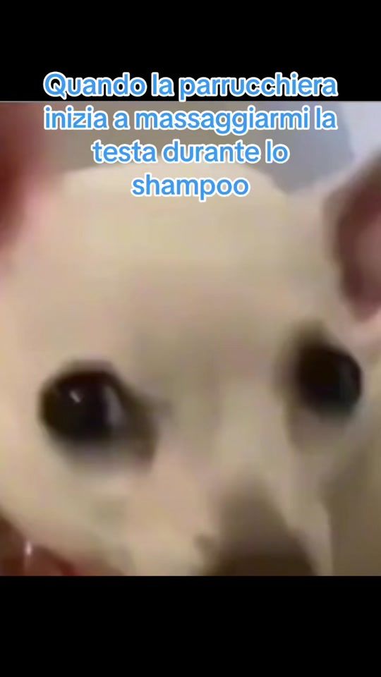 TikTok video thumbnail by mellyeto