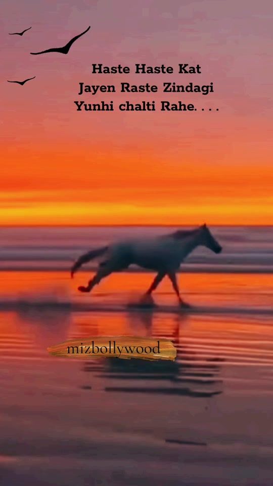 TikTok video thumbnail by mizbollywood
