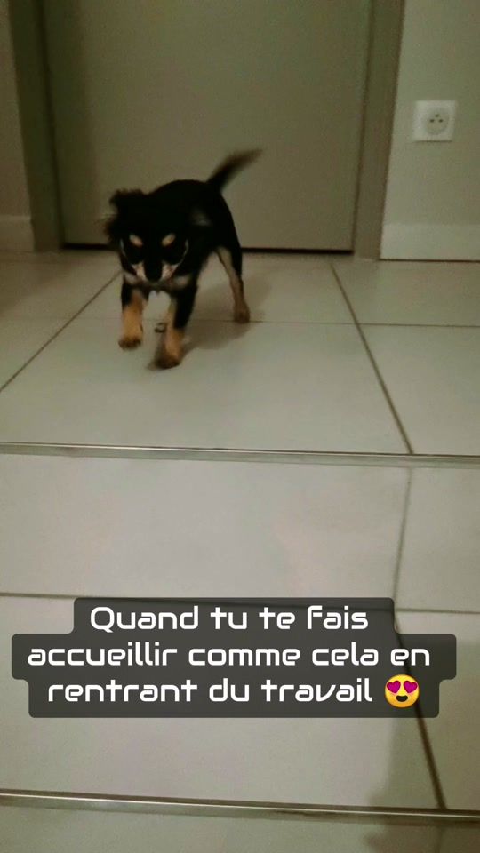 TikTok video thumbnail by maloludororo63