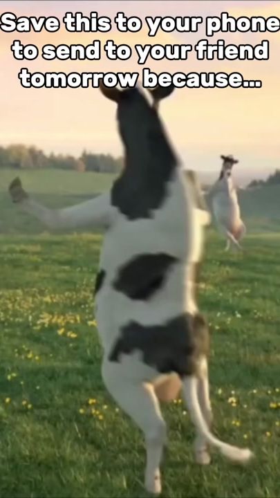 TikTok video thumbnail by repostt20