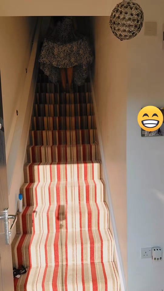 TikTok video thumbnail by reshmakaur007