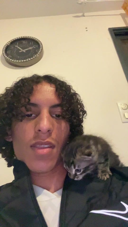 TikTok video thumbnail by ayy33s