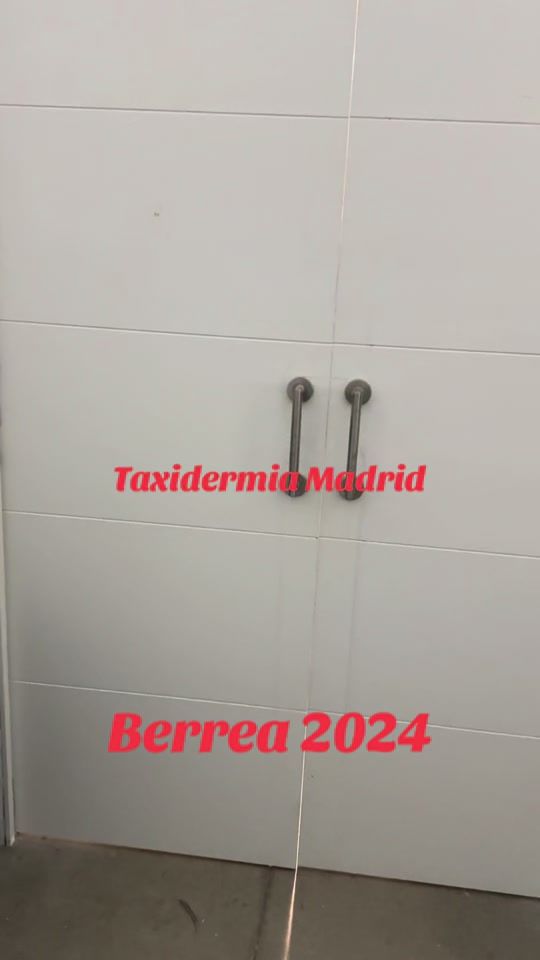 TikTok video thumbnail by renesitogalan