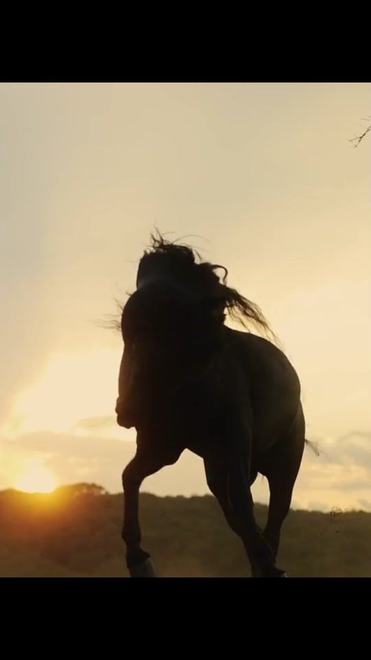 TikTok video thumbnail by wwwperlasur