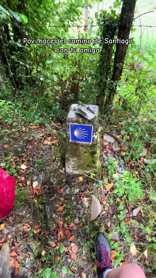 TikTok video thumbnail by vanessaserrano.11