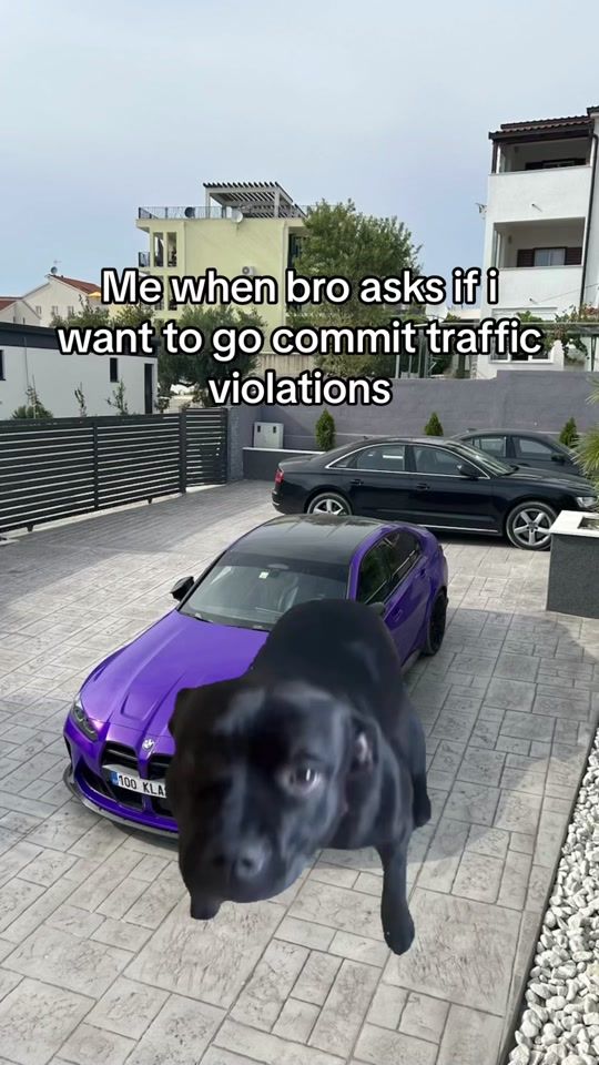 TikTok video thumbnail by janstoky