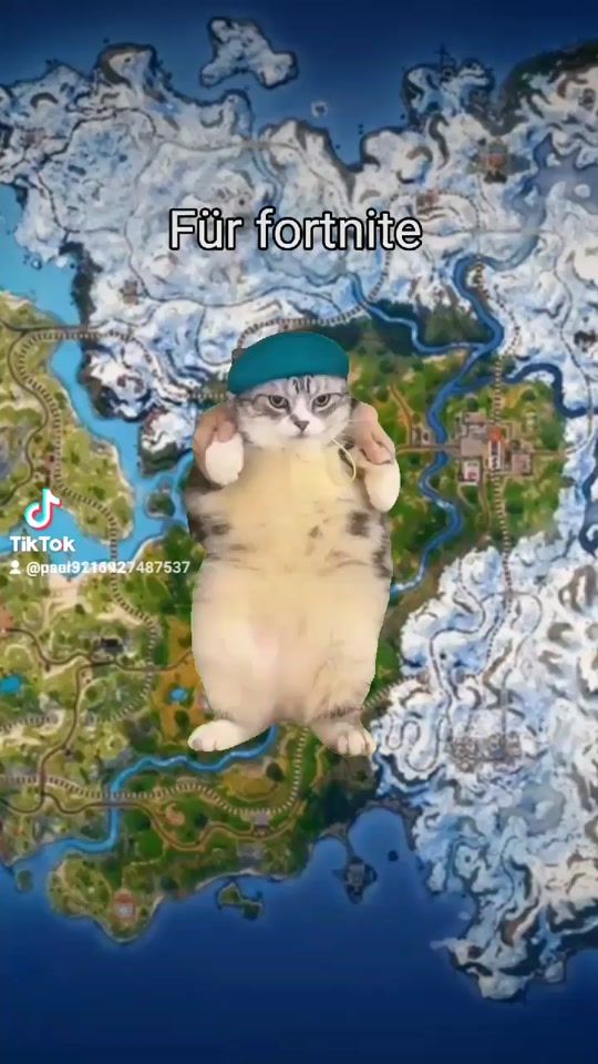 TikTok video thumbnail by paul311692