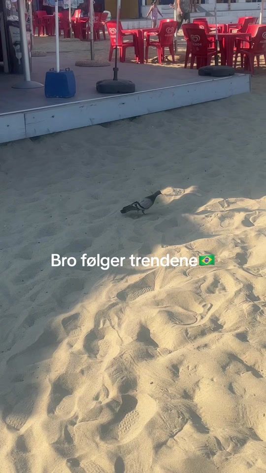 TikTok video thumbnail by mrmarcopolo6