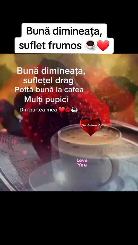 TikTok video thumbnail by sorinaofelia