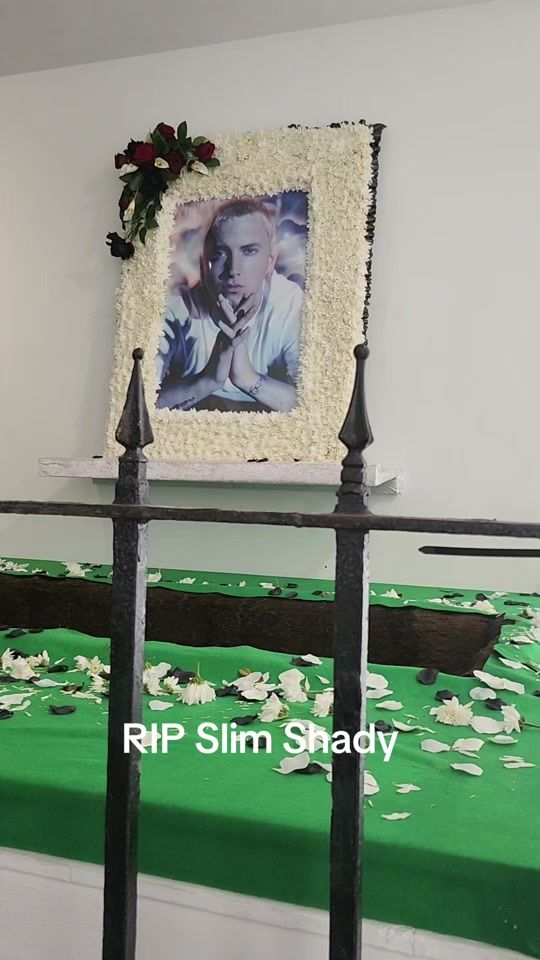 TikTok video thumbnail by emiliosmummy