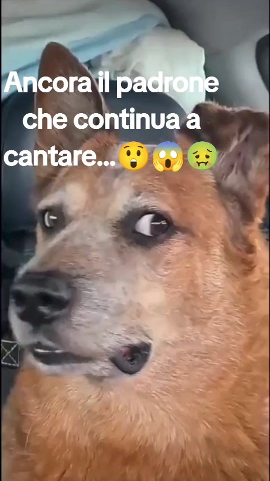 TikTok video thumbnail by tikdj2023