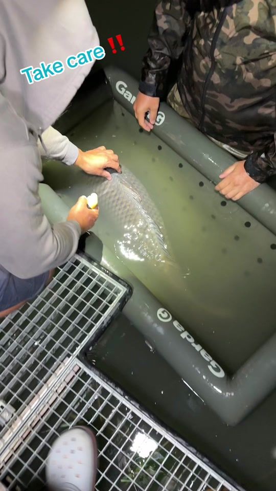 TikTok video thumbnail by vladfisherman_life