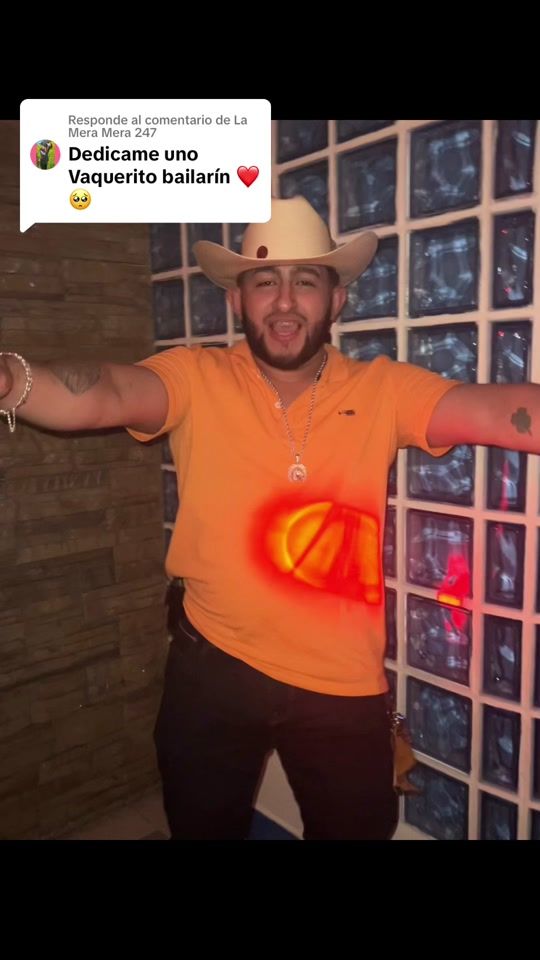 TikTok video thumbnail by carinrochaoficial