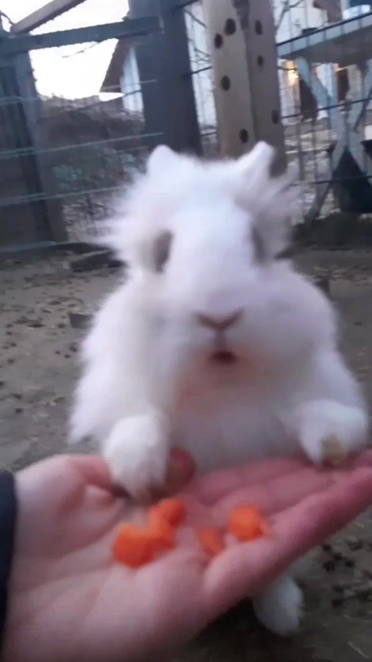 TikTok video thumbnail by celine_21.1