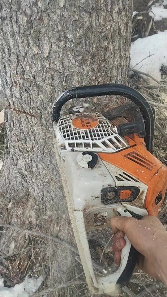 TikTok video thumbnail by l.wiedenhofer04