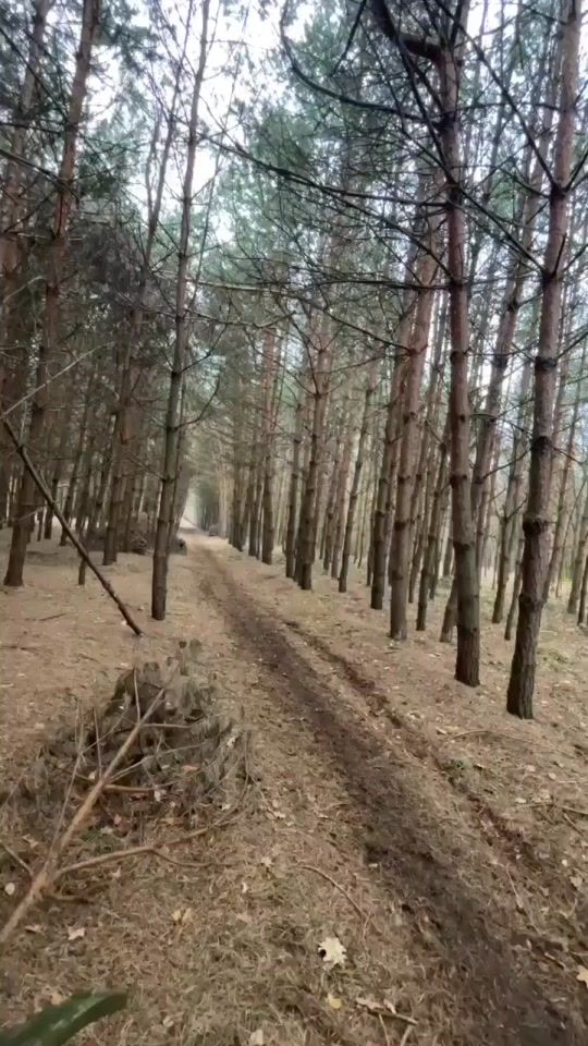 TikTok video thumbnail by piotrek2256