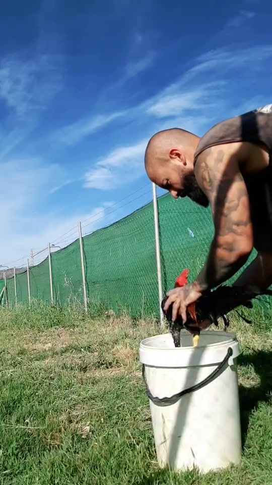 TikTok video thumbnail by antoniofernandezd68