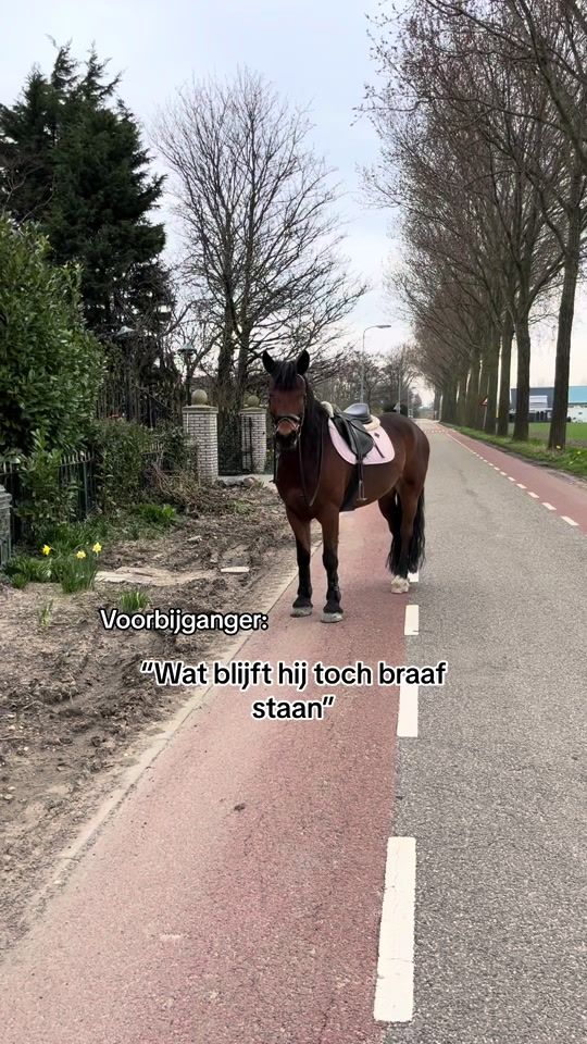 TikTok video thumbnail by its.me.mr.nino