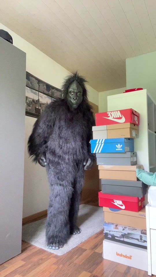 TikTok video thumbnail by gorrilaboy4