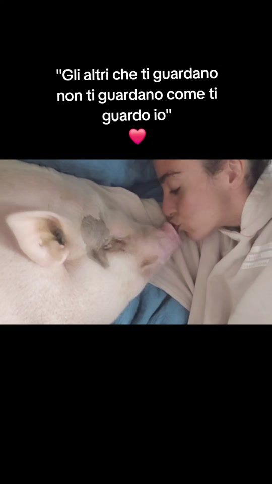 TikTok video thumbnail by theycallweamori