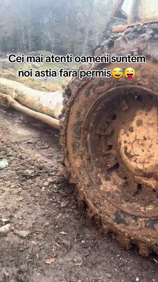 TikTok video thumbnail by andrei.xxforest